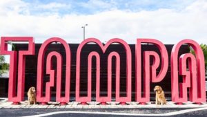 Giant Pink Tampa Sign