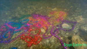 Photo of Gasparilla beads underwater