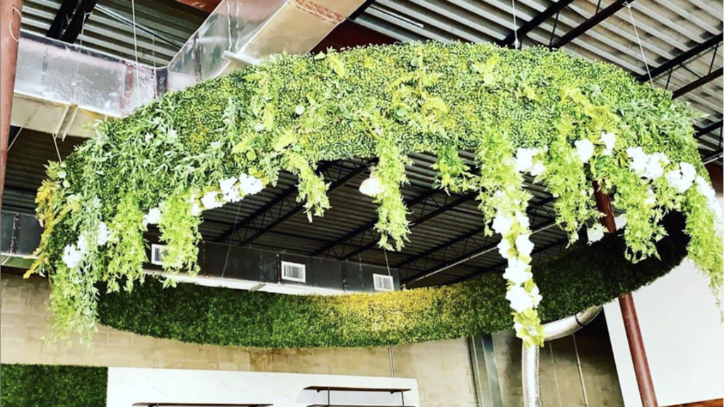 Photo of greenery hanging from the ceiling