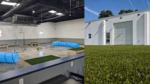 Photos of an empty indoor dog park with two blue crawling tubes