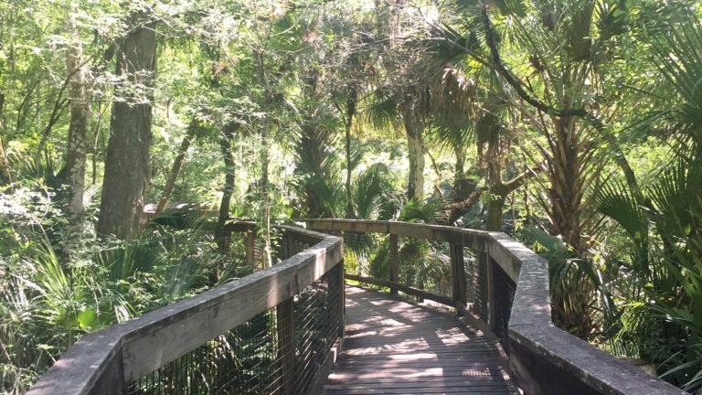 a abordwalk at a state park