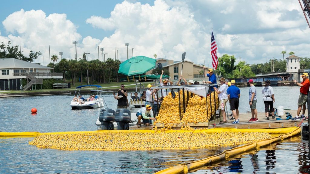 Thousands of yellow rubber ducks poured into a river
