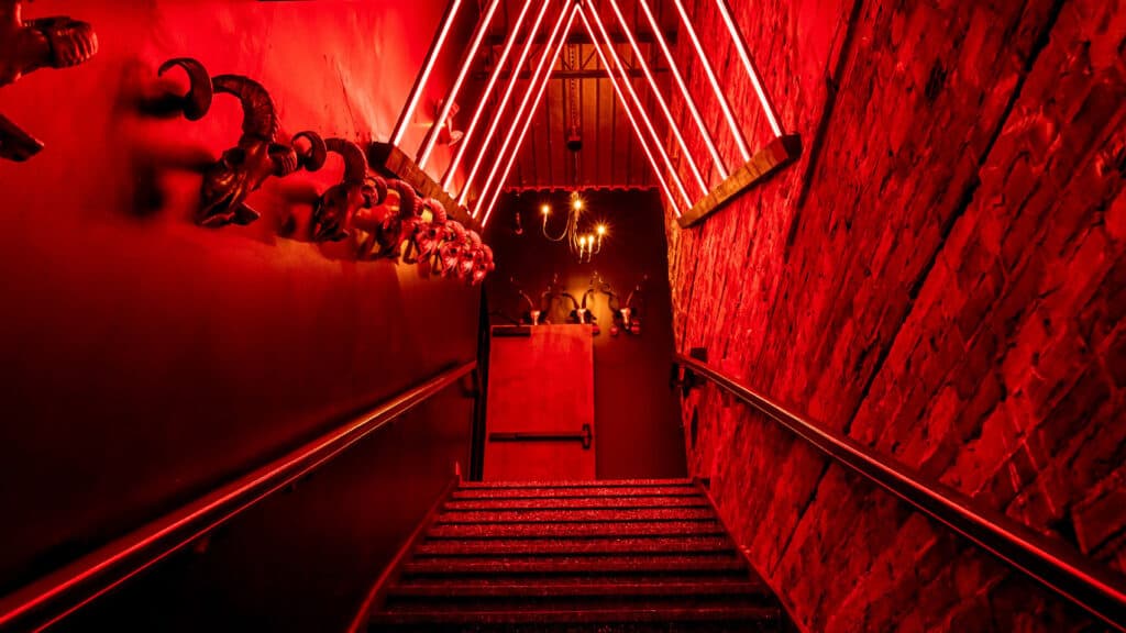 a steep flight of stairs under red lights with animal skulls on the wall