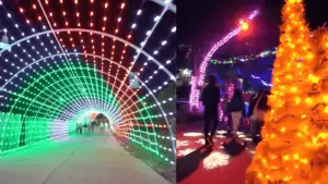 a park with huge Christmas lights display and a light tunnel