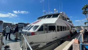 The Crossbay Ferry docked in Tampa Bay