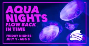 Aqua Nights Flow Back in Time Friday Nights July - August 5