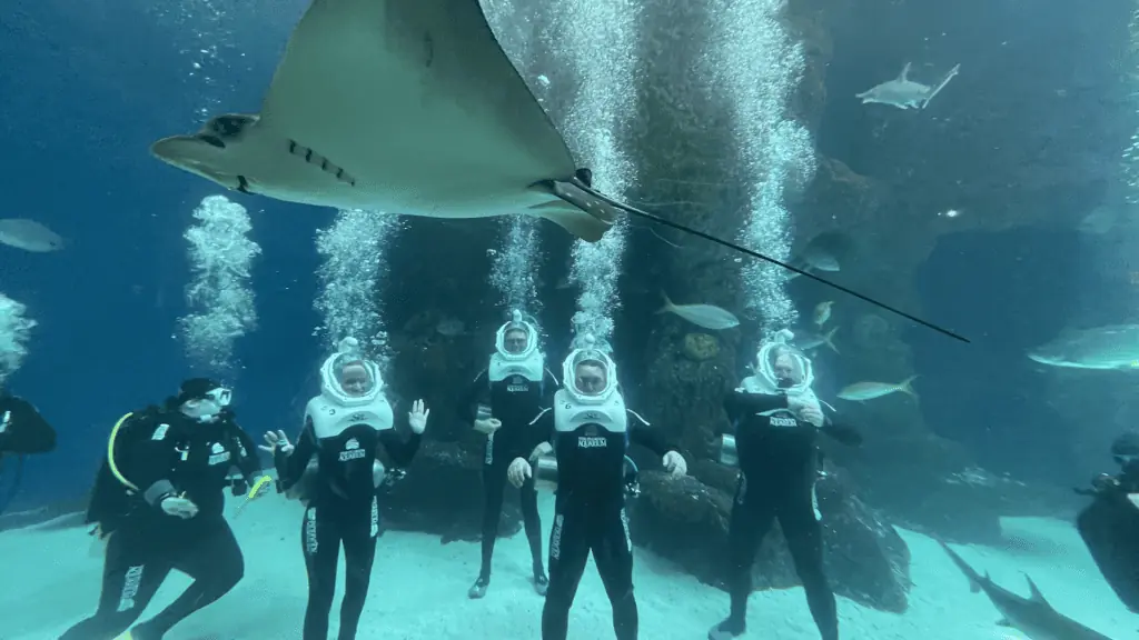 a group of people in scuba suits enjoy an underwater walking tour
