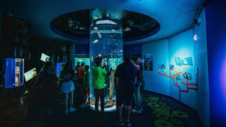 Inside an aquarium with a large cylindrical tank at the center