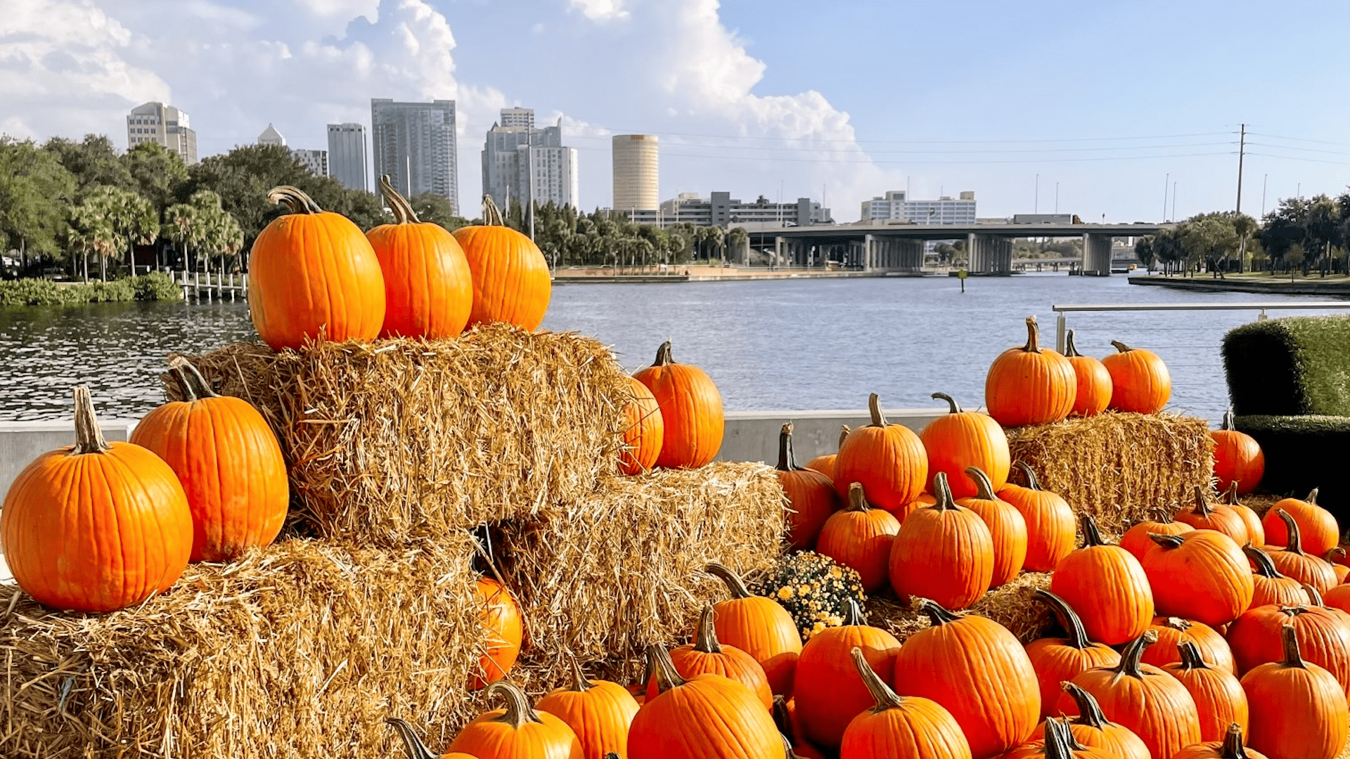 Tampa Riverwalk hosts trick or treat event That's So Tampa