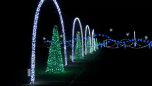 A row of lit Christmas trees, with a tunnel of blue lights glowing above them at night.