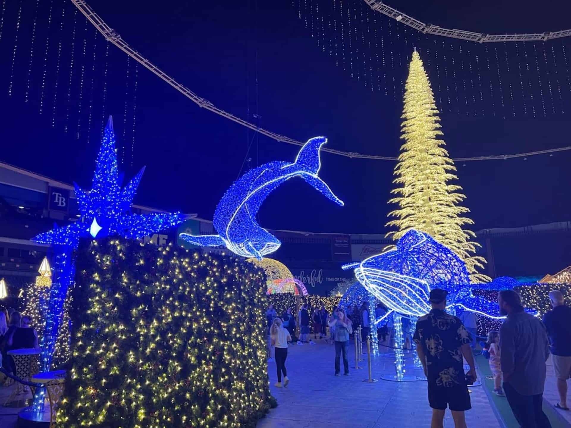 Enchant Christmas, with more than 1 million lights, enters final