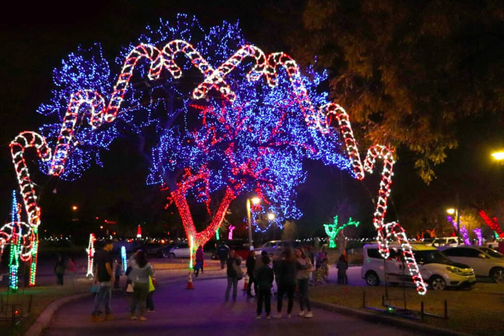 A lighted archway of candy canes is set before a tree wrapped in red and blue lights. 