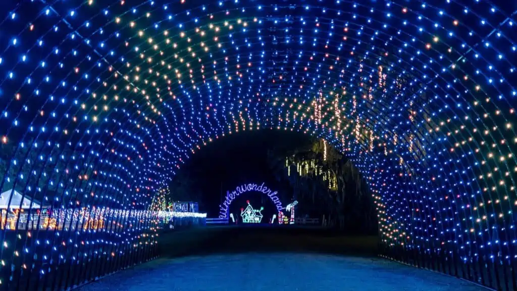 A tunnel of blue lights are set up over a road. A lighted Christmas Tree can be seen in the distance.
