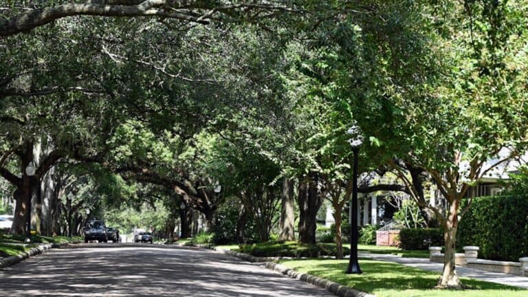 view of a historic neighborhood