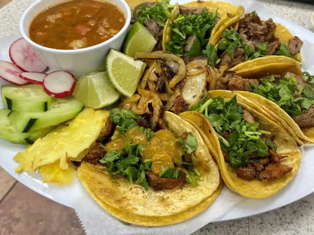 A plate of tacos on bright double layered corn tortillas. 