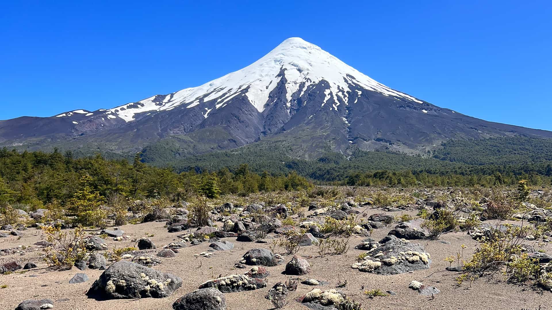 View of Osorno volcano from the hike
