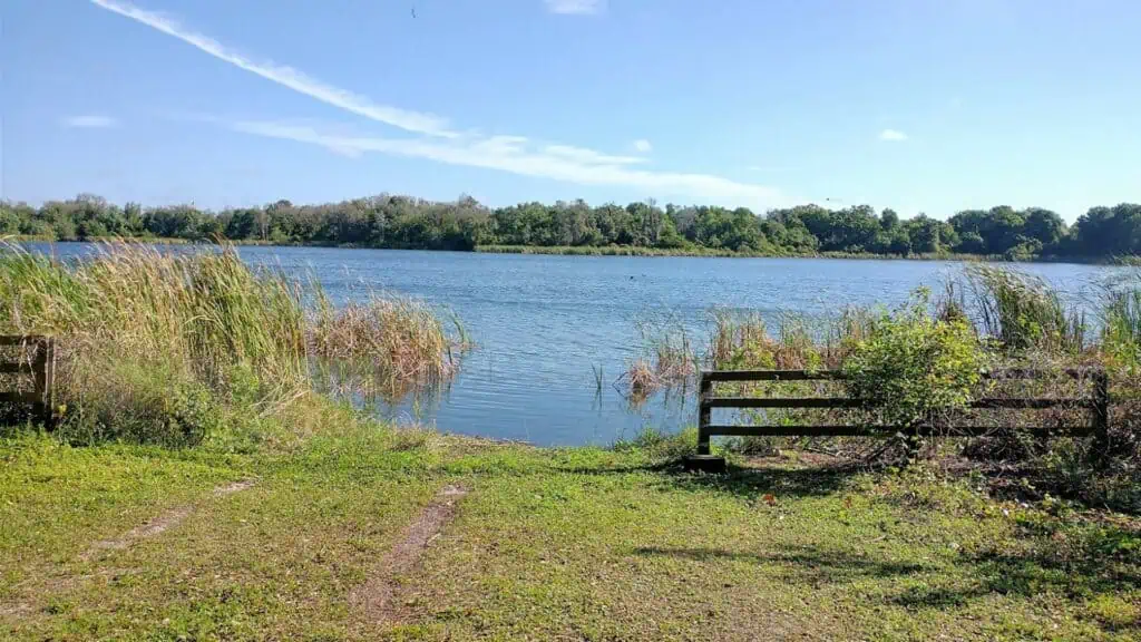 A bench overlooking a l lake area with a walking trail surrounding it.