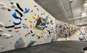 Expansive rock walls at Central Rock Gym in Tampa