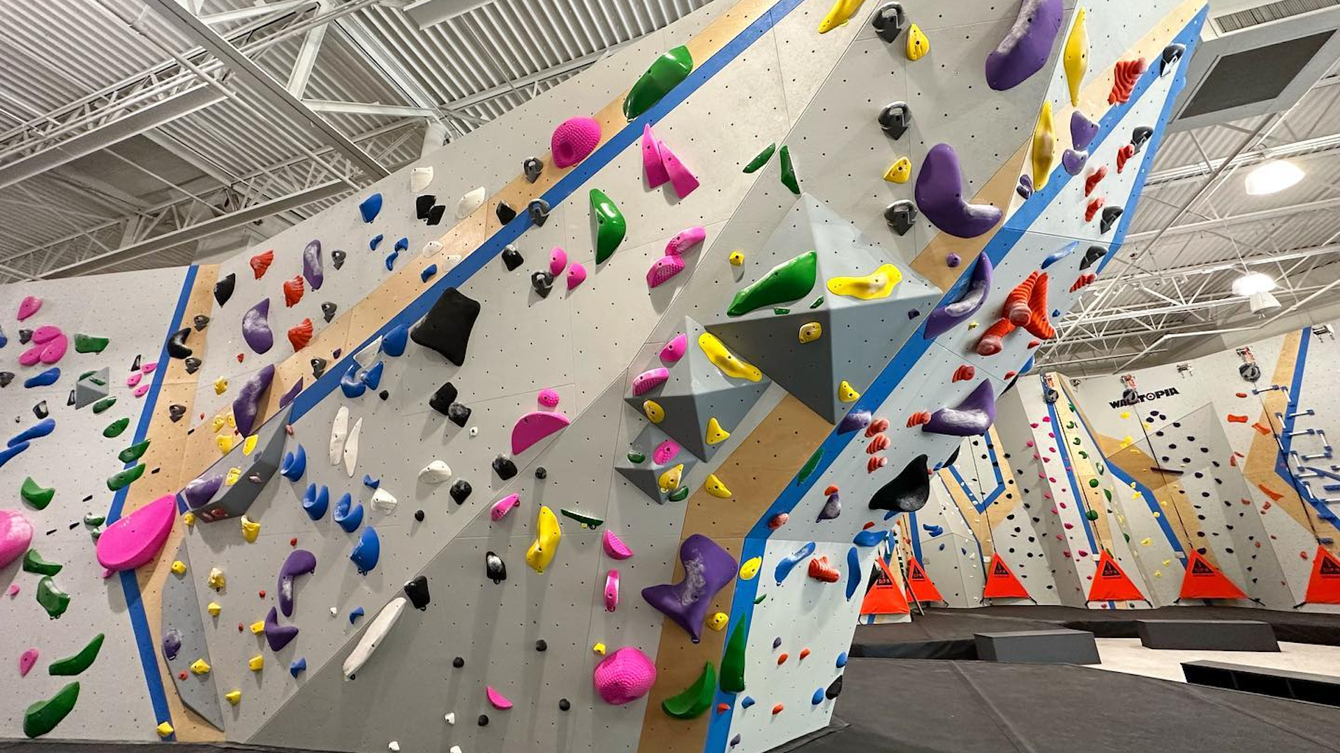 a large rock wall with multi color grips arranged in complicated route patterns.
