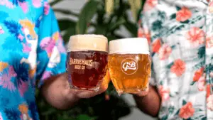 Two people in Hawaiian shirts cheersing their lagers