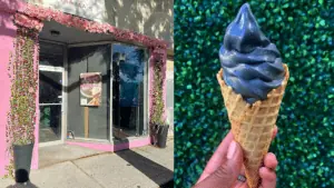 Exterior of an ice cream shop covered in flowers and greenery. Soft serve ice cream held up in front of an ivy covered wall in a waffle cone