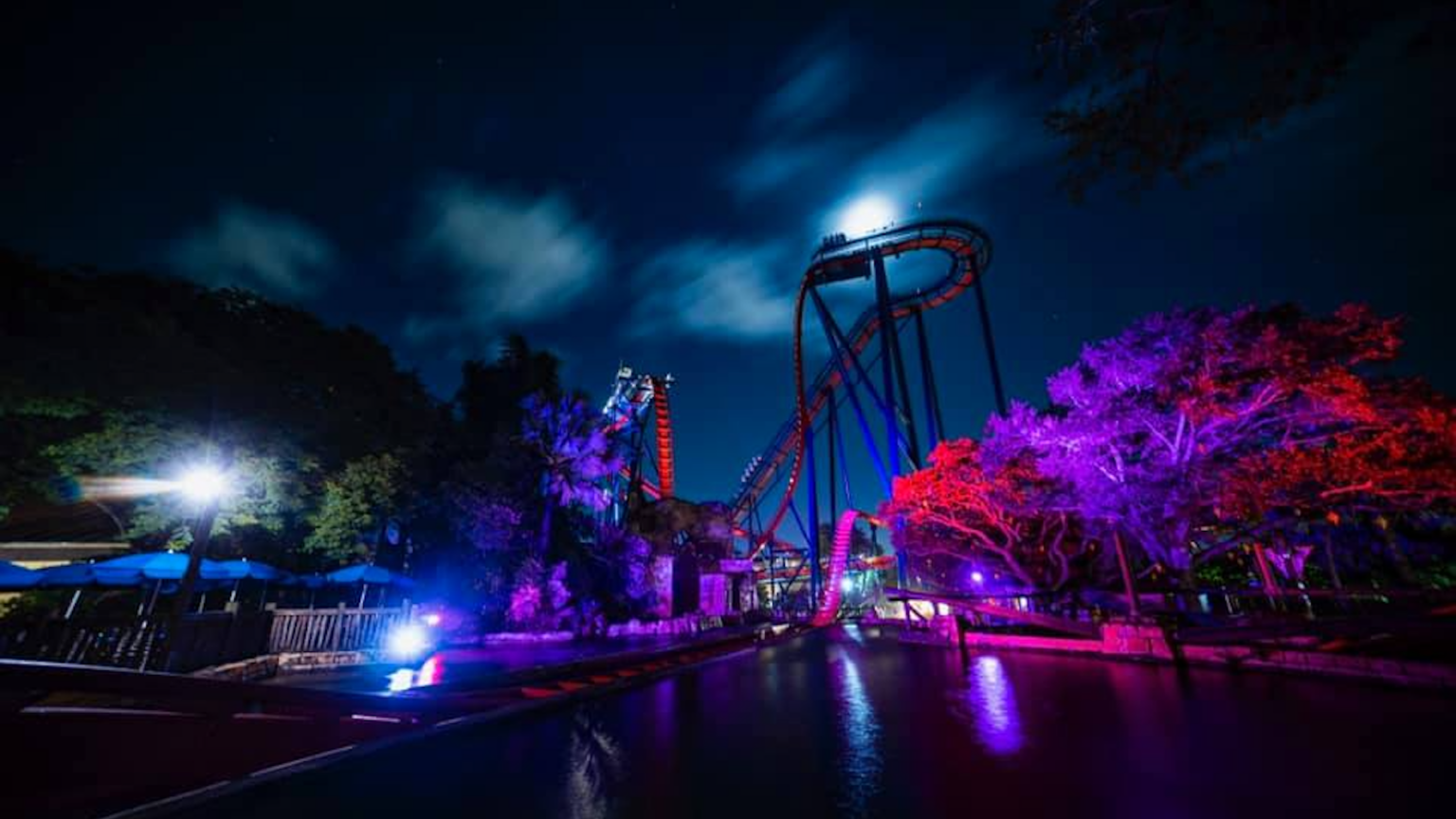 Howl O Scream returns to Busch Gardens That's So Tampa