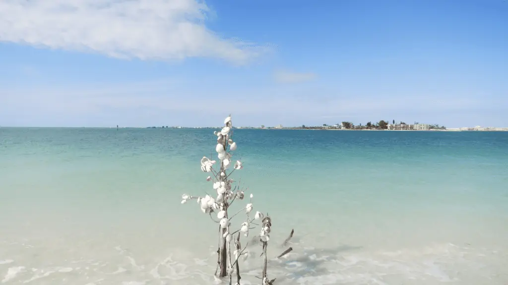 Shell Key named one of the best secret beaches in the US