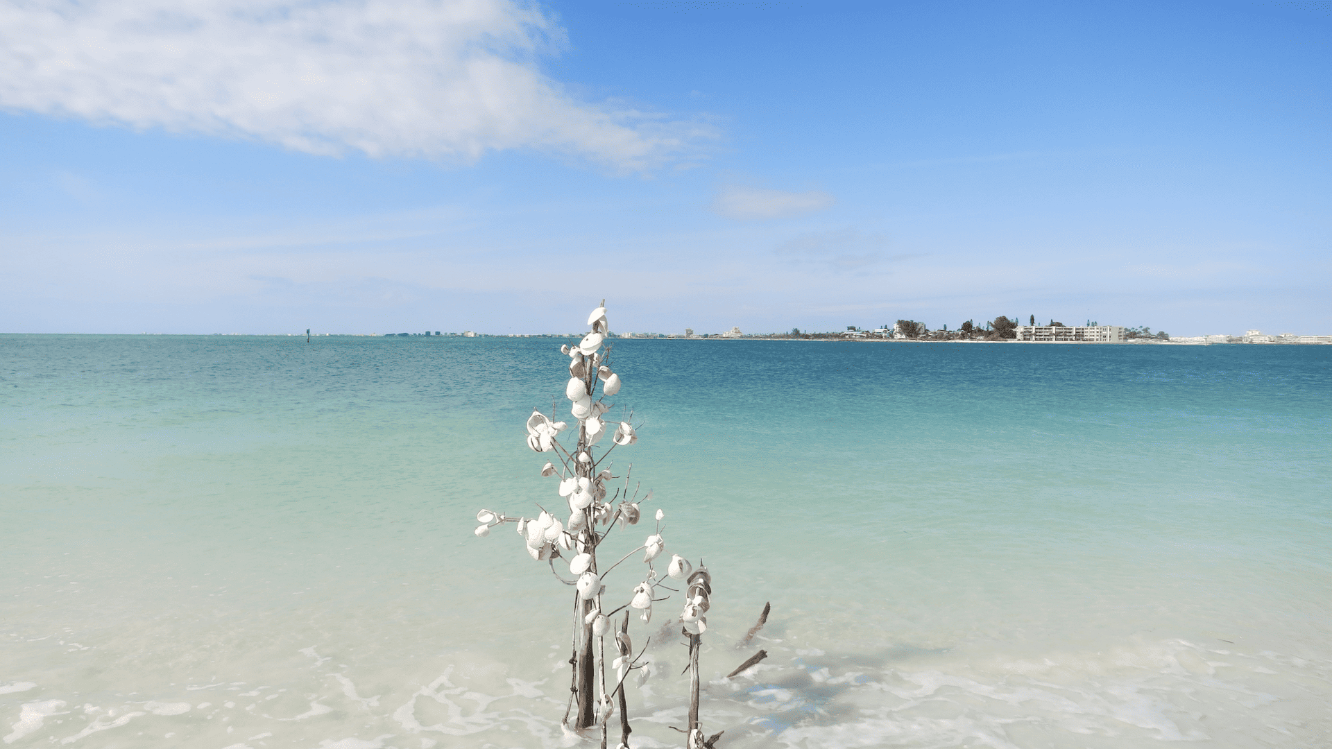 shell-key-named-one-of-the-best-secret-beaches-in-the-us-that-s-so
