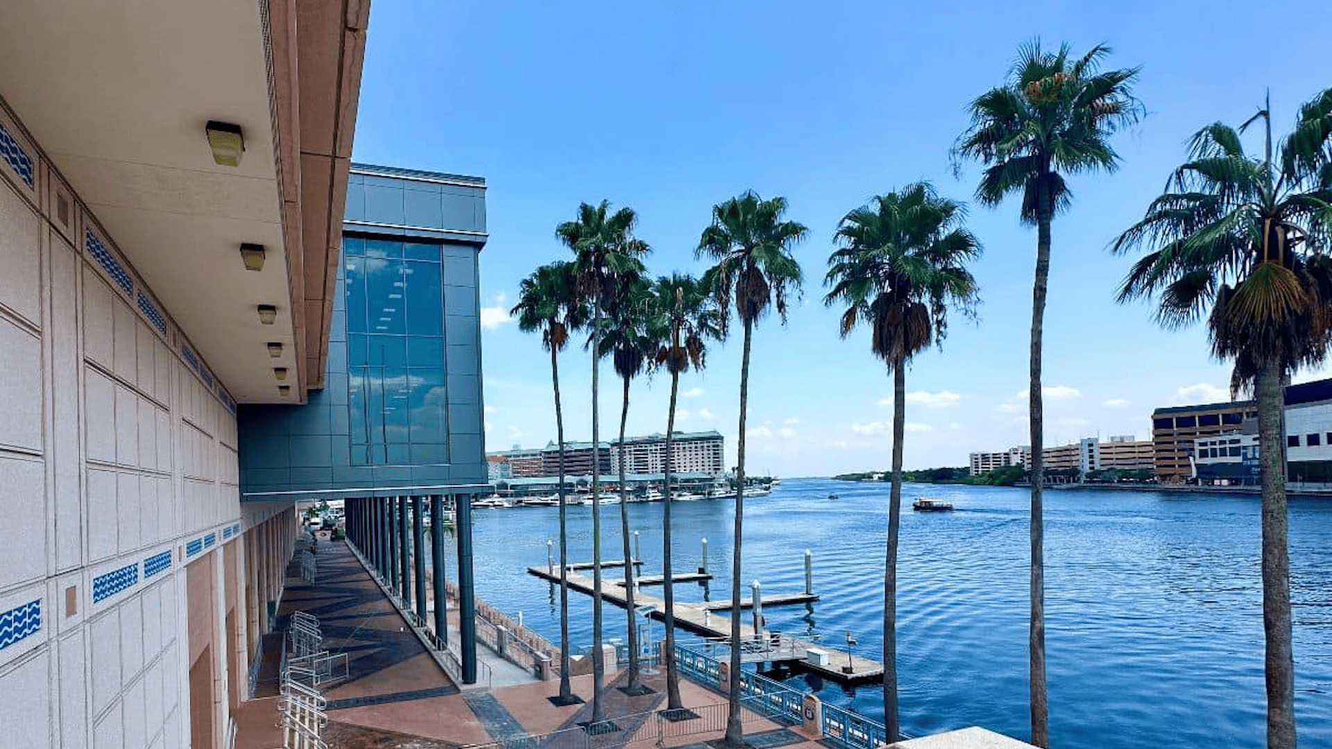 Tampa Riverwalk cleanup announced after Gasparilla That's So Tampa