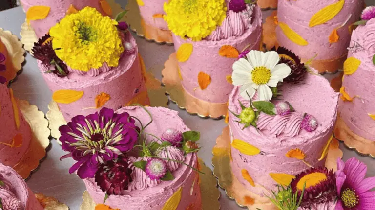 a collection of pink frosted cakes
