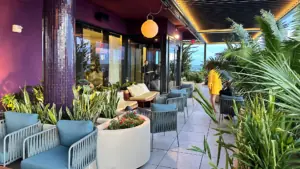 a rooftop terrace with greenery around the tables