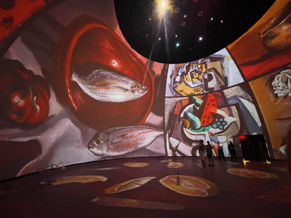 PHOTOS Inside The Immersive Dalí Alive Exhibition - That's So Tampa