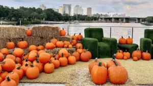 a waterfront pumpkin patch
