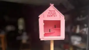 close-up of the pink "Tampa Period Pantry" in the progress of being built