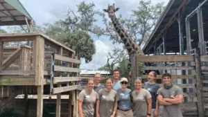 four people standing in front of a tall giraffe at a zoo.