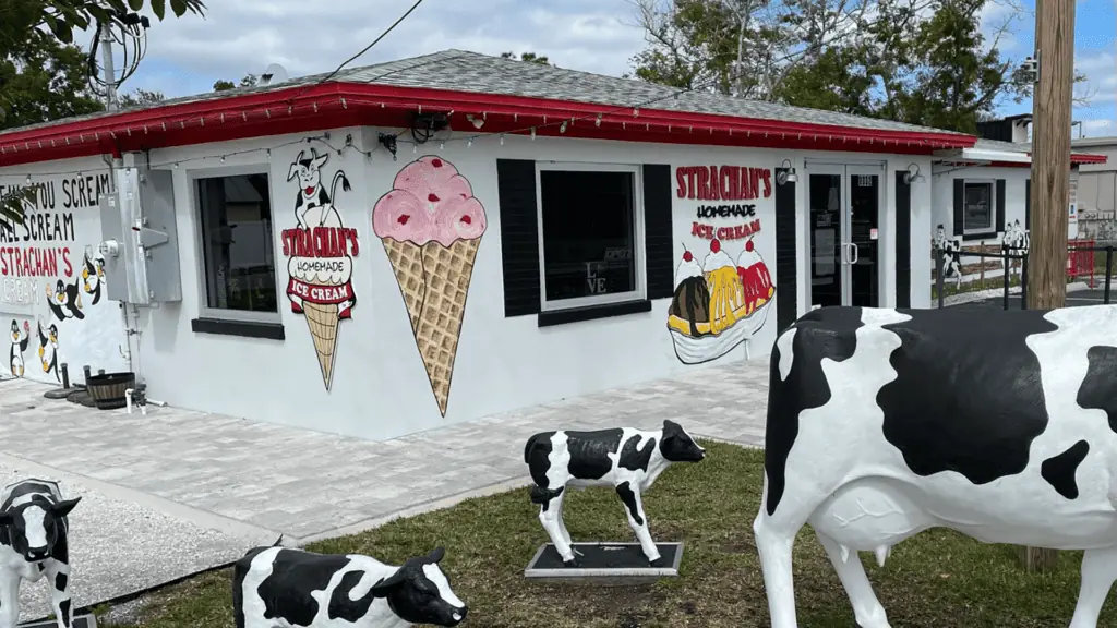 exterior of an ice cream shop with cow statues out front. Cartoon ice cream cones are painted on the side of the building