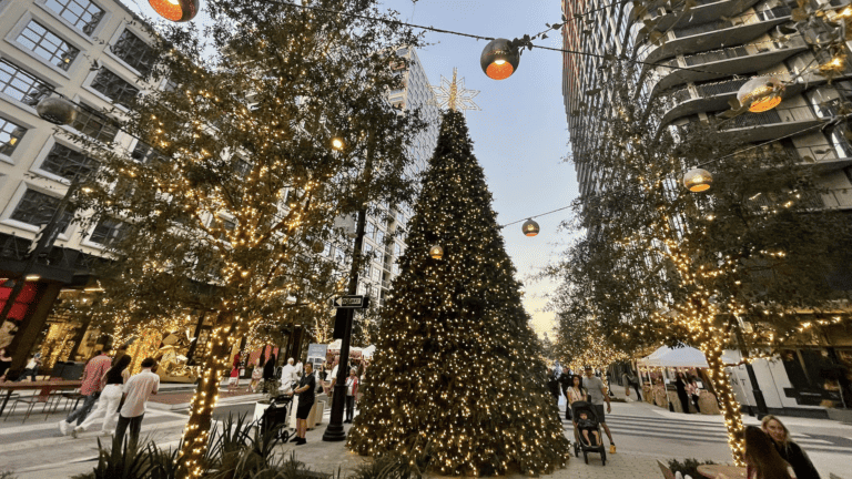 a Christmas tree in the middle of a big neighborhood