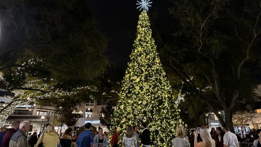 a Christmas tree at night