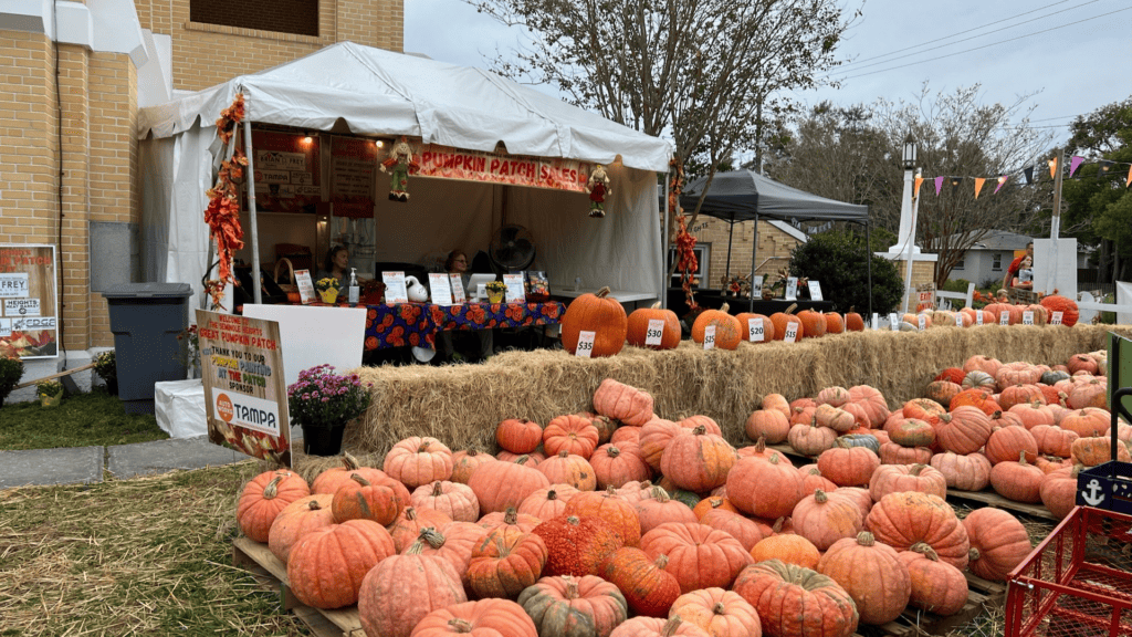 a pumpkin patch wit ha big sales stand under a tent