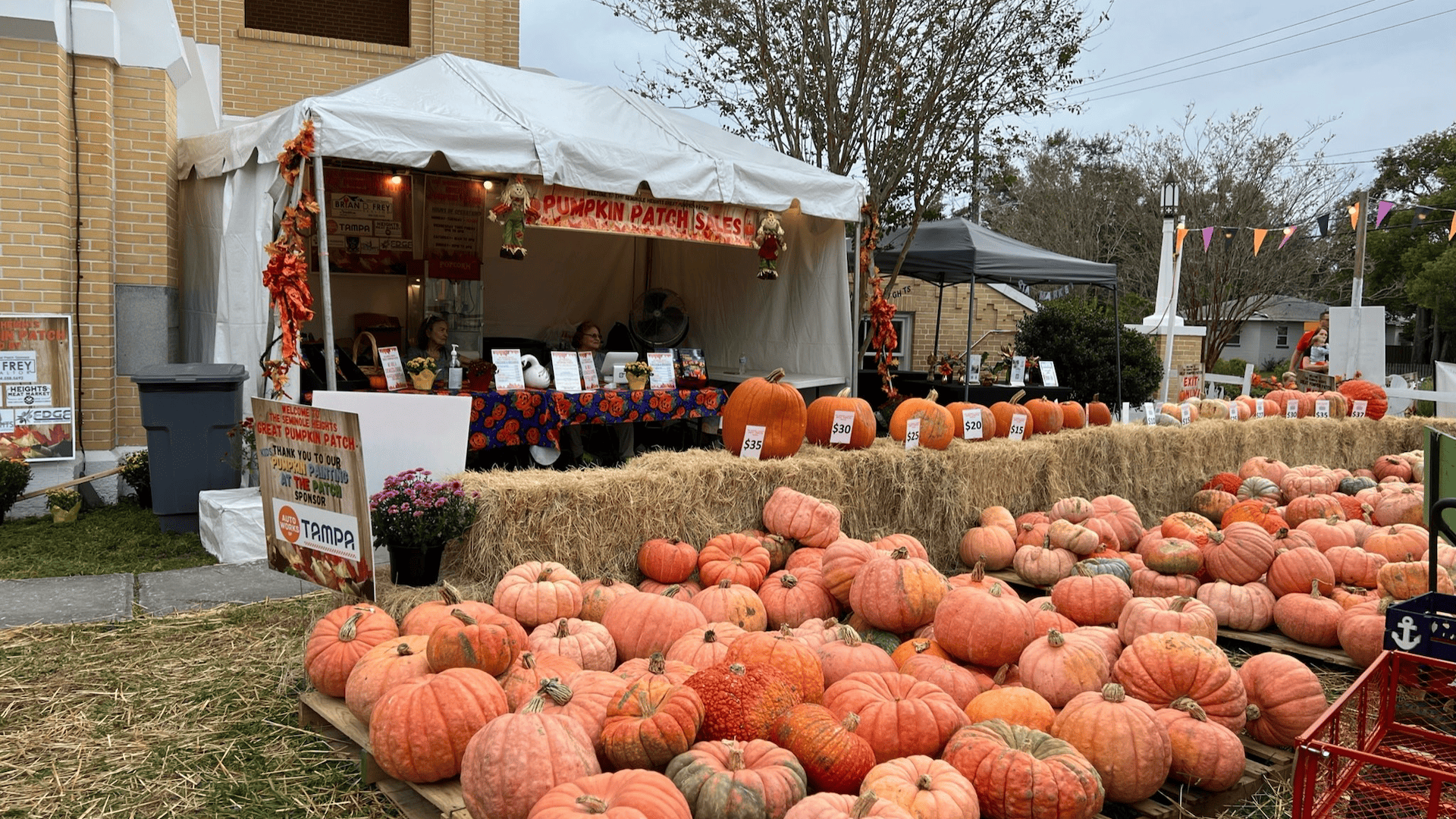 Two major pumpkin patches open in Tampa That's So Tampa