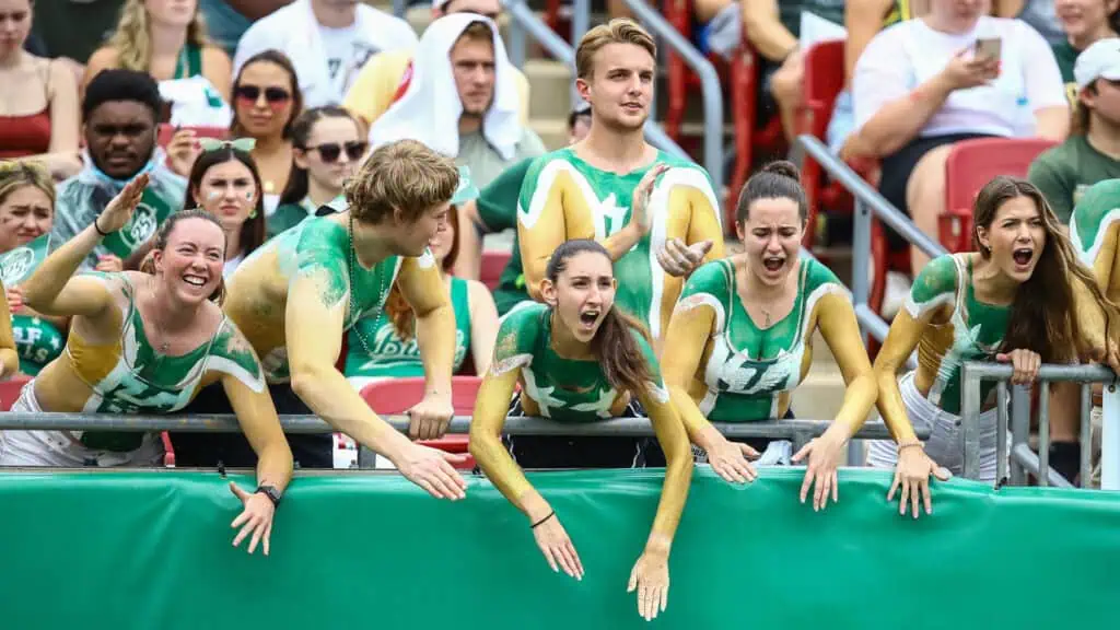 People at a football game