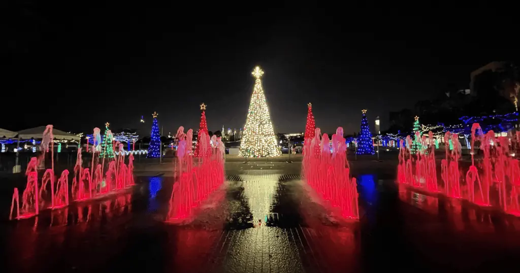 row of Christmas trees set up in a park at night