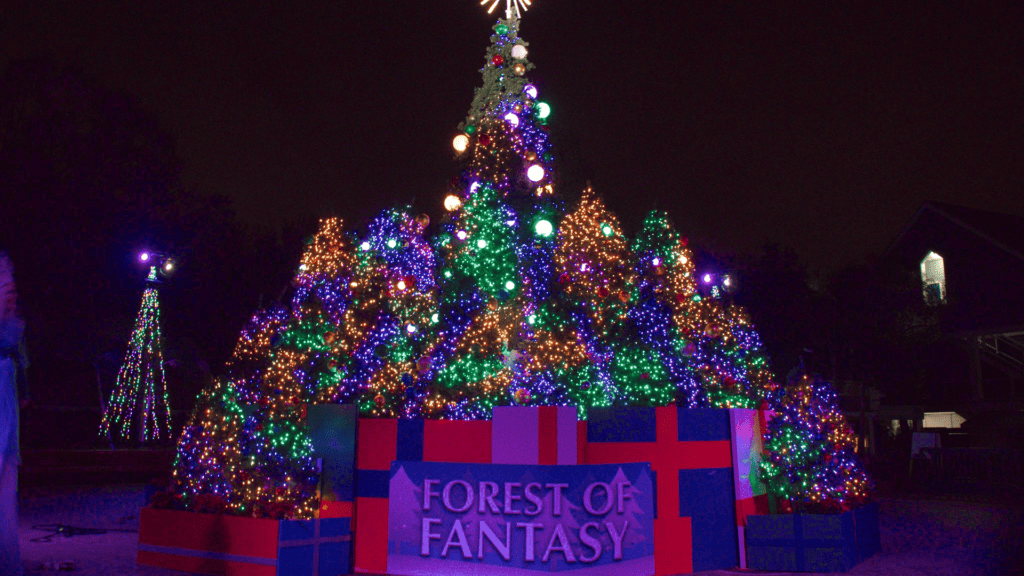 illuminated Christmas trees arranged in a forest