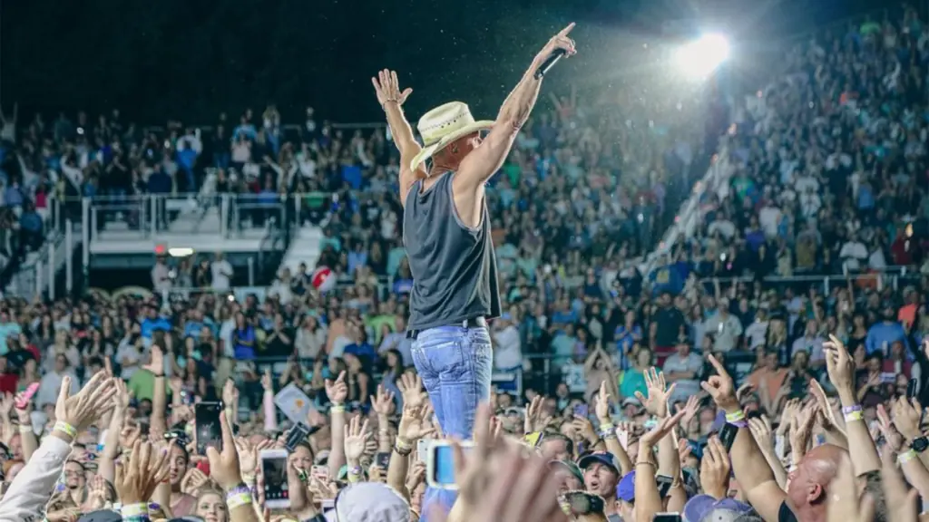 a performer on stage in a cowboy hat surrounded by fans