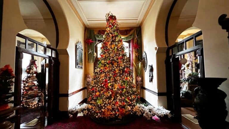 a christmas tree set up in a large ballroom