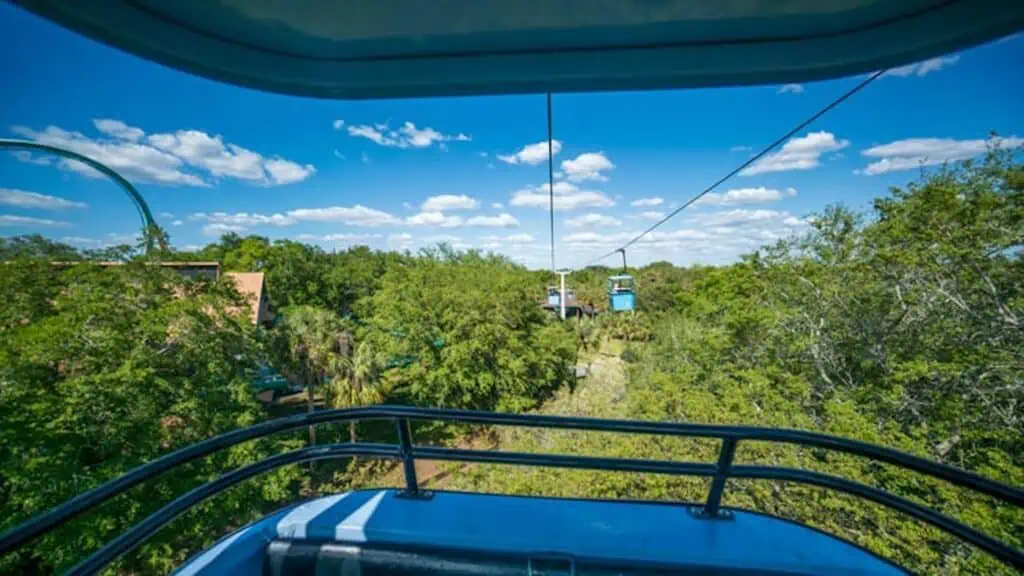 view from a blue gondola about 50 feet above a theme park safari area