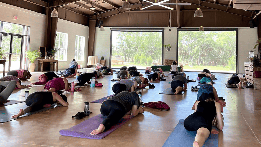 a yoga class takes place inside an open space with large floor-to-cieling windows