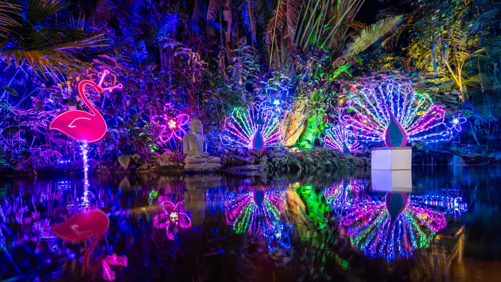 array of rainbow lights reflected in a pond