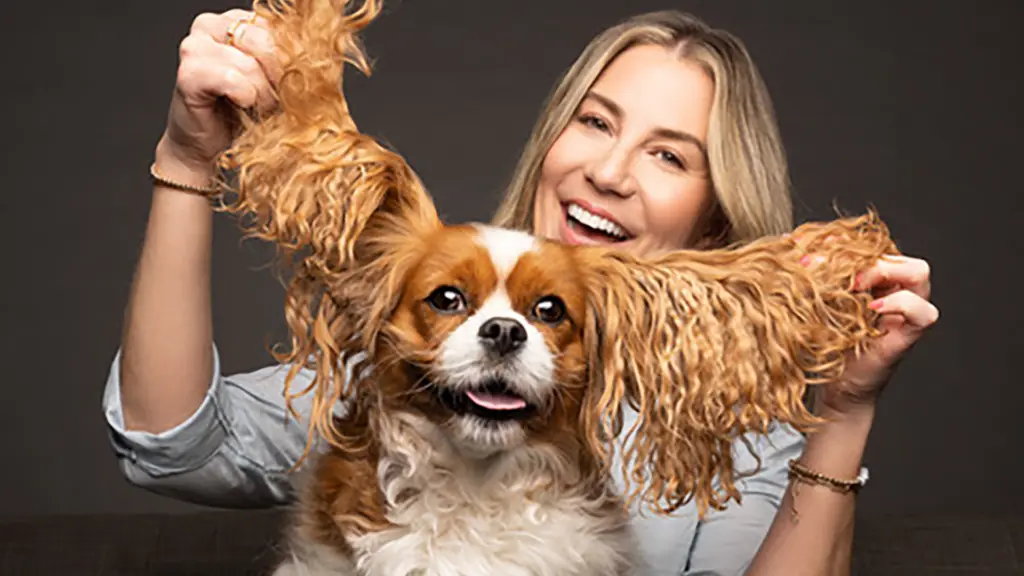 a dog with long furry ears sits on its owners lap in a photo studio