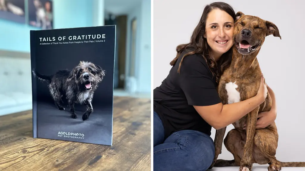 A coffee table book with a dog on the cover, a dog owner holds her pet in a photo studio